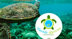 Turtle Rescue Website